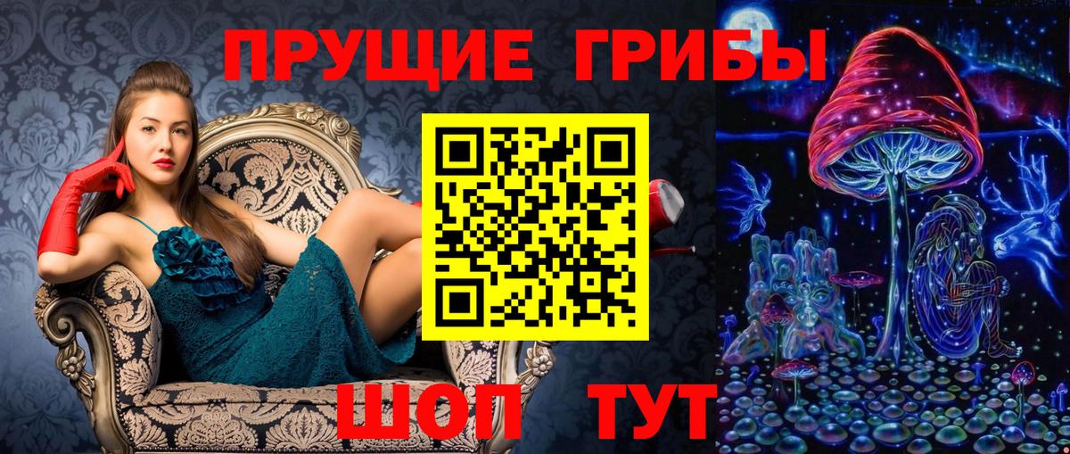 Галлюциногенные грибы прущие грибы Кириши