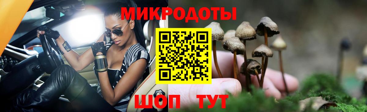 Кириши  Галлюциногенные грибы GOLDEN TEACHER  Вход с VPN  Галлюциногенные грибы прущие грибы 